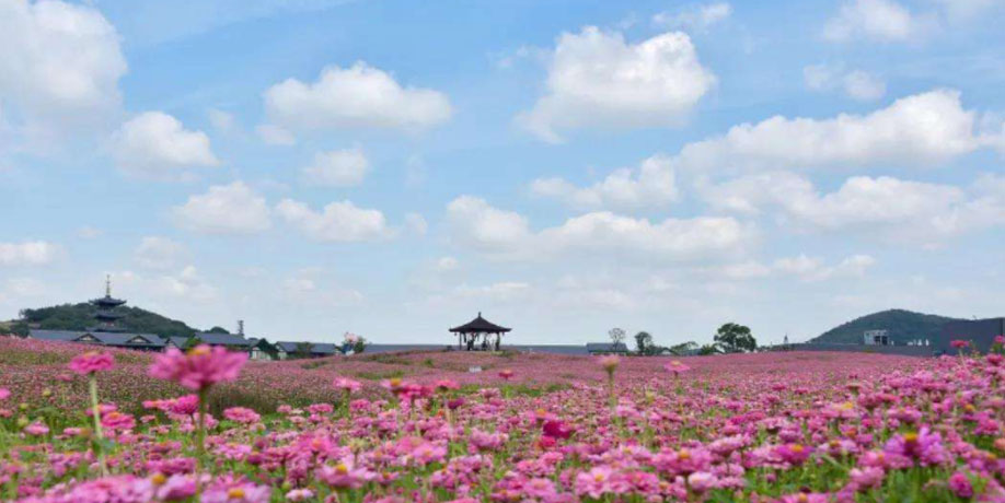 菲爾特-大廠家